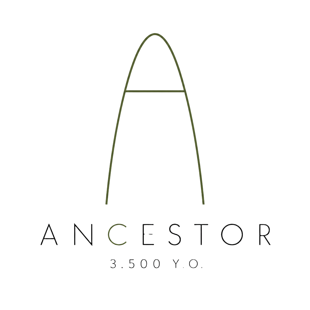 Ancestor 3.500 Y.O.